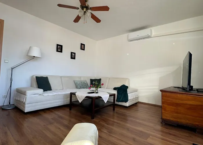 Vanessa リュブリャナ